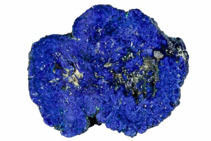 Vivid Blue, Cut/Polished Azurite Nodule - Siberia #263214